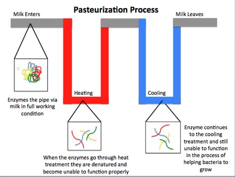 Heroes of Food Safety: Louis Pasteur and the Invention of Pasteurization