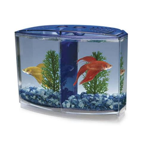 Betta Bow-Front / Double Tank Kit â€“ Boxed - Walmart.com - Walmart.com