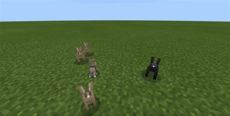 Top 5 things players didn't know about the rabbit in Minecraft