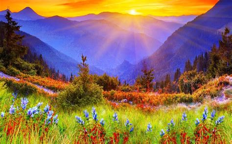 Spectacular Mountain Beautiful - Nature Sun Rise Background - 1920x1200 Wallpaper - teahub.io