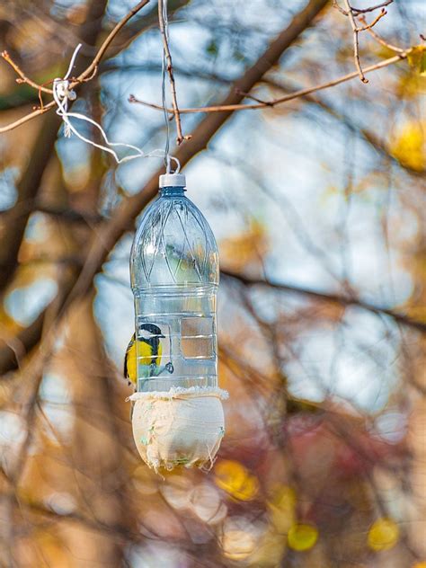 Soda Bottle Bird Feeder Craft: Creating A Bird Feeder With Plastic Bottle