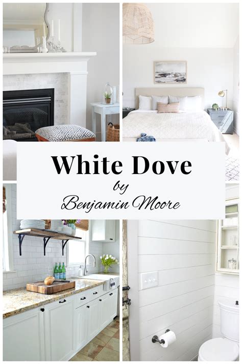 Benjamin Moore White Dove - A Paint Colour Favourite - Satori Design for Living