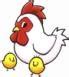 Chickens - Harvest Moon Wiki - Neoseeker