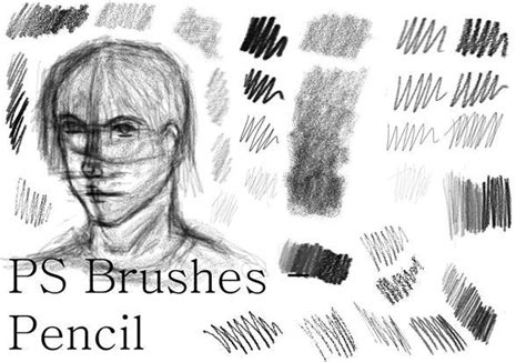 Pencil Brush Photoshop Collection | PSDDude