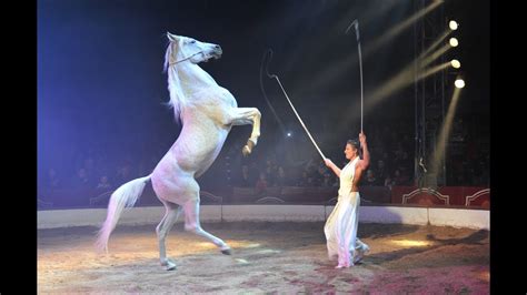 Cristina Magli Togni - liberty horses @ Circus Louis Knie 2019 - YouTube