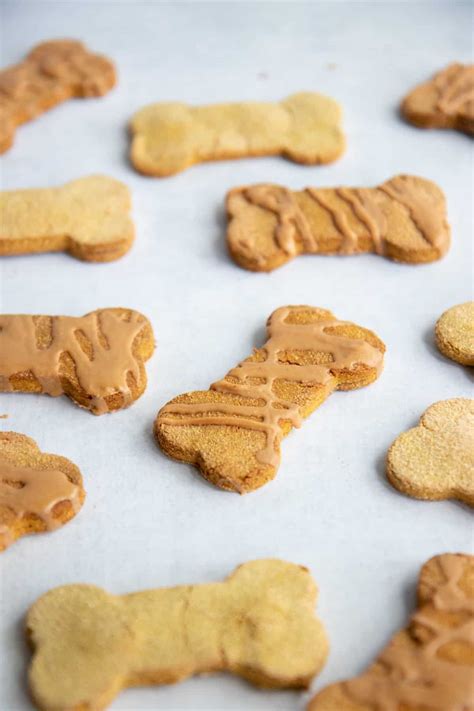 Grain-Free Pumpkin Coconut Dog Treats | Wholefully