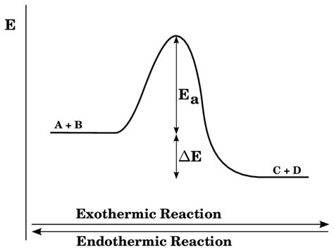 Exothermic And Endothermic Reaction Diagram