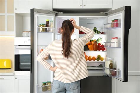 Why Is My Bosch Refrigerator Making Noise? | Best Service Company