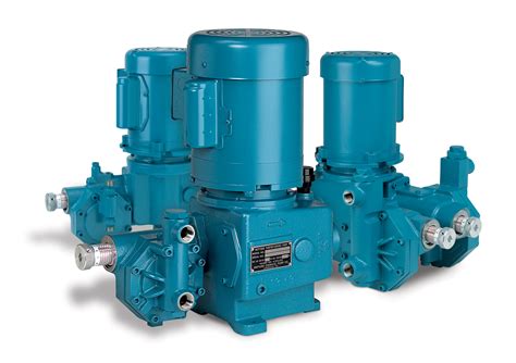 Sizing and Selecting the Proper Metering Pump - Empowering Pumps and ...