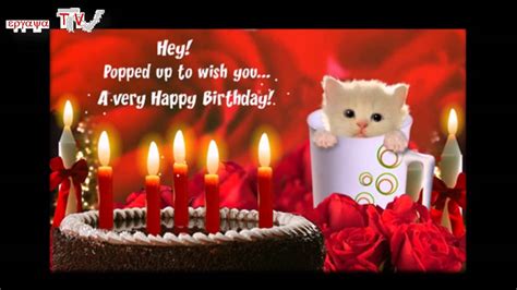 Happy Birthday Greeting Card with kitten - YouTube