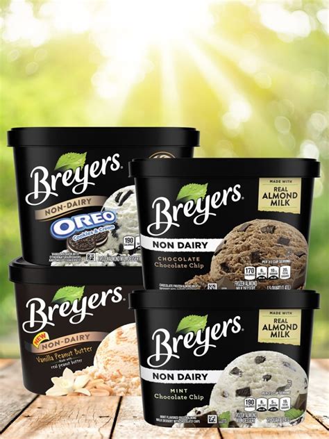 Breyers Non-Dairy Ice Cream Reviews & Info (Dairy-Free & Vegan)