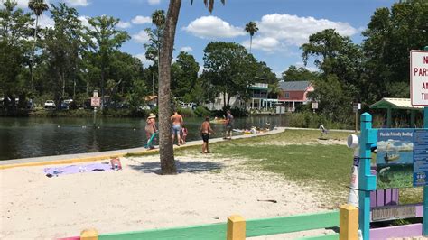 Dozens hit the sand and surf as Hernando County reopens beaches, parks