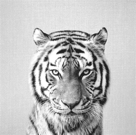 Tiger Black And White | abstract art, interior art, artwork, hand painted artwork, hand ...