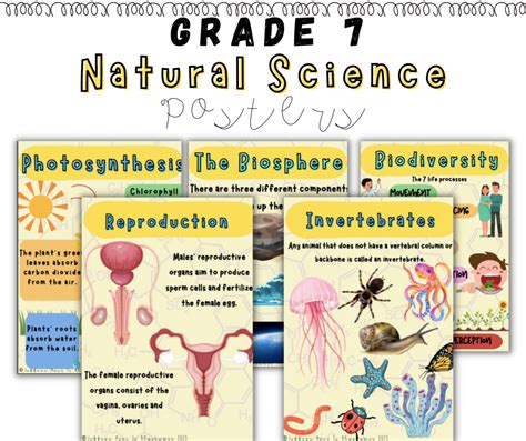 Grade 7 Natural Science Term 1 Posters