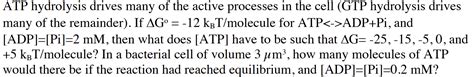 Solved ATP hydrolysis drives many of the active processes in | Chegg.com