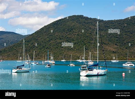 Boats in Shute Harbour. Airlie Beach, Whitsundays, Queensland, Australia Stock Photo - Alamy