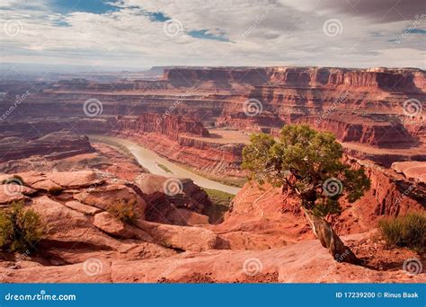 Dead Horse Point Overlook stock photo. Image of mesa - 17239200