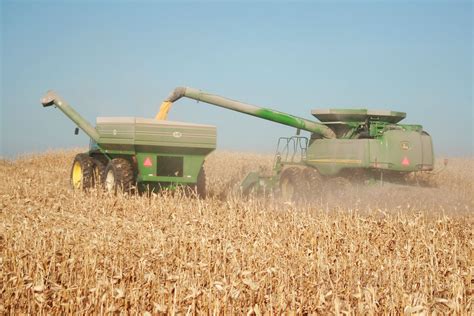 Mississippi Corn Harvest Goes Well Despite the Season's Weather - ProAg