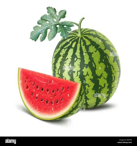 Watermelon and slice illustration, digital painting Stock Photo - Alamy