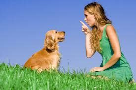 Animal Communication Singapore | Animal Communicator