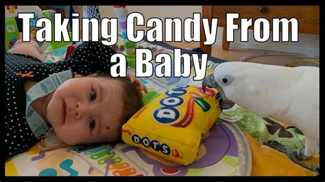 Taking Candy From a Baby - YouTube