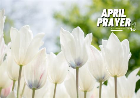 PRAYER POINTS FOR THE NEW MONTH OF APRIL 2024