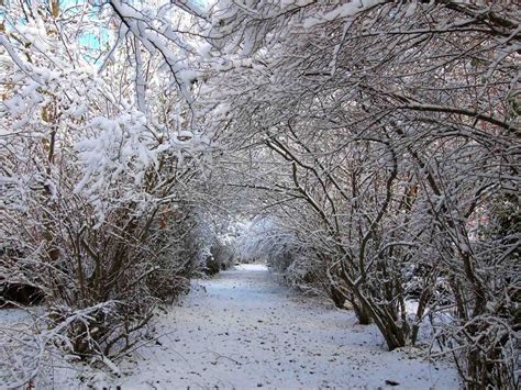 Cuyahoga Valley National Park in the Winter: Your Ultimate Guide