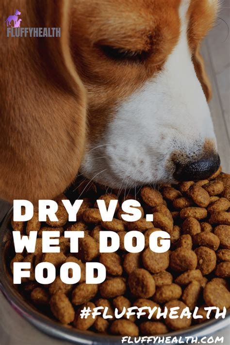 Dry vs. Wet Dog Food? Your Ultimate Guide... | Fluffyhealth