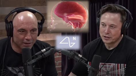 The Joe Rogan Experience #1470 – Elon Musk – Elon Musk Interviews