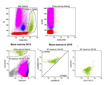 International Clinical Cytometry Society