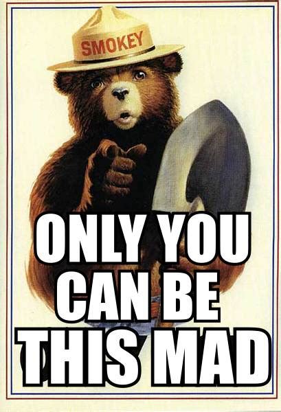 [Image - 764853] | Smokey The Bear | Know Your Meme