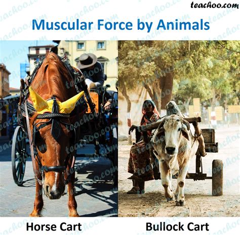 Examples of Contact Forces - Muscular Force, Friction - Teachoo