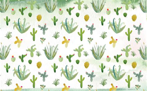 Cactus Wallpapers - Top Free Cactus Backgrounds - WallpaperAccess