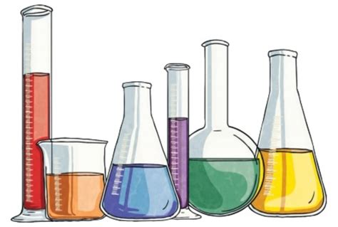 What is the KS2 Science Curriculum? | Twinkl Teaching Wiki