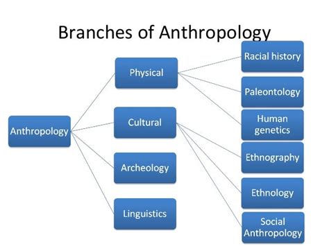 introduction-to-sociology-and-anthropology