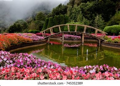 115,576 Bridge of flowers Images, Stock Photos & Vectors | Shutterstock