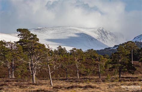 Rothiemurchus Forest & the Lairig Ghru this afternoon - Richard Elliott ...