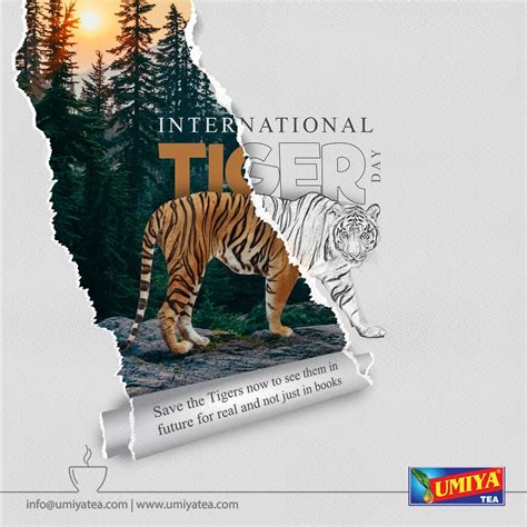 Wwf posters – Artofit