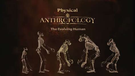 Physical Anthropology: The Evolving Human » Heredity & Evolution » CUNY TV » City University ...