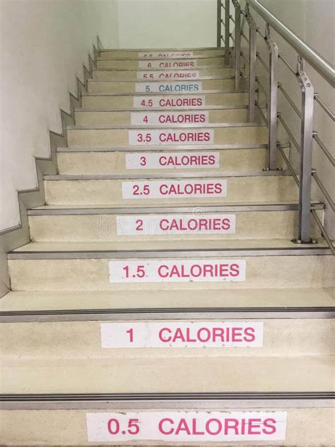 Stair Climber Workout Calories Burned | EOUA Blog