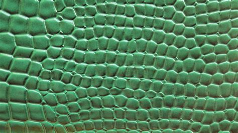 Green Crocodile Skin Background Free Stock Photo - Public Domain Pictures