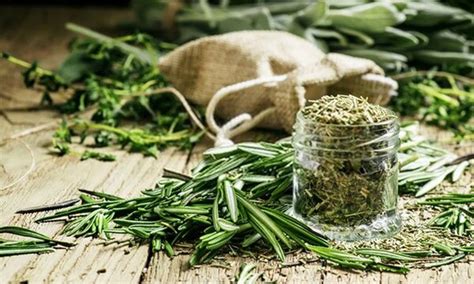 Substitute Dried Rosemary for Fresh: How to Dry Rosemary | Delishably