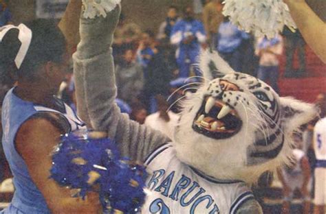 Bearcat – Baruch College Mascots