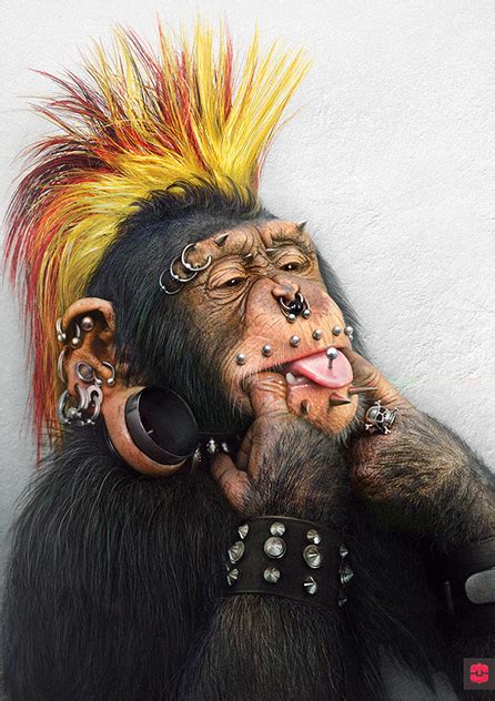 «Funny Monkeys» :: Behance