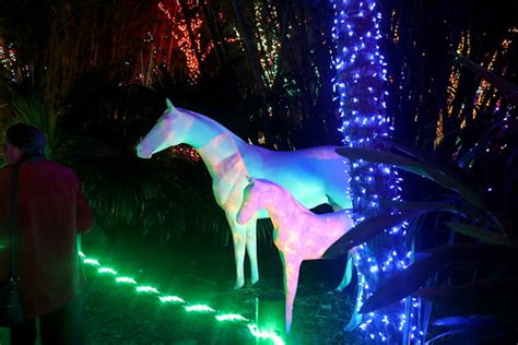 painted_horses_zoo_lights_5Div0634_edit | A display in the H… | Flickr