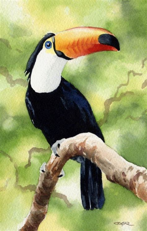 TOUCAN Art Print Signed by Artist DJ Rogers | Peinture oiseau, Peinture d'animal, Art à thème oiseau