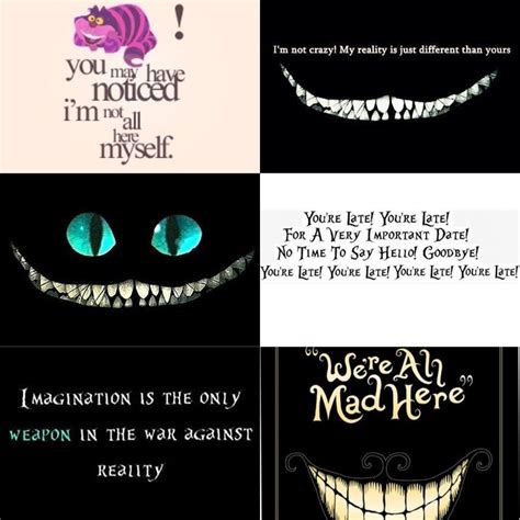 Cheshire Cat From Alice In Wonderland Quotes. QuotesGram