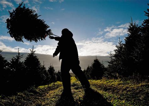 Scotland’s first footing New Year’s tradition, explained.