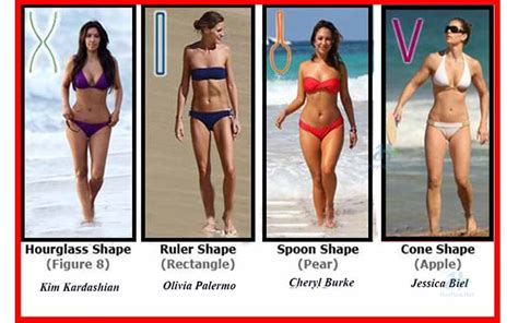 What Is The Perfect Size For A Woman - Ideal Body Measurements For Female