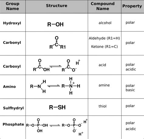 Functional groups – Biology 1101 Course Hub